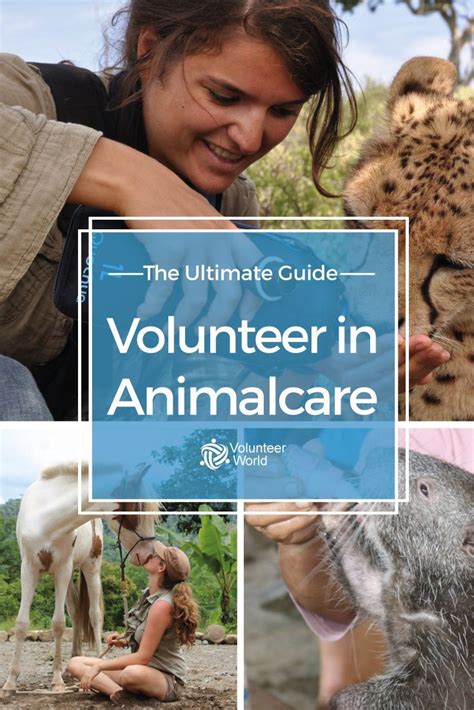 animal volunteering opportunities abroad.